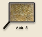 Abbildung 5